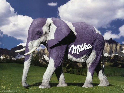 milka.jpg