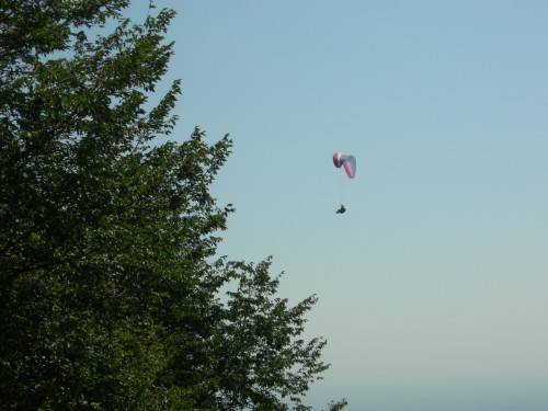 DSCN0939.JPG (375.21 КБ) Просмотров: 9319 DSCN0939.JPG