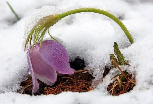 389825_373139.jpg (34.36 КБ) Просмотров: 2397 389825_373139.jpg