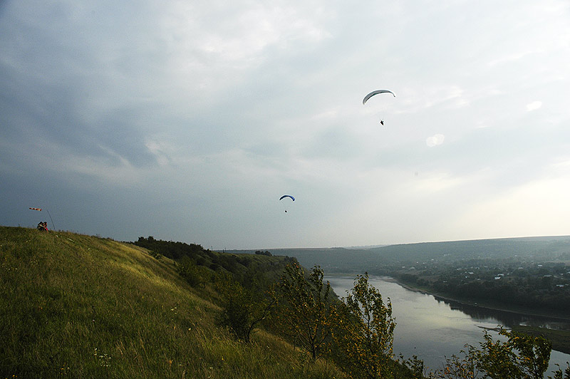 zal_002.jpg