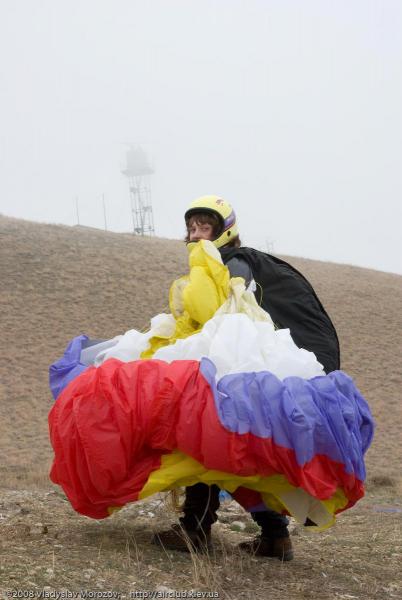 Пчела в тумане